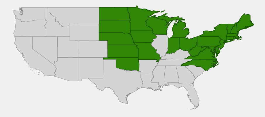 Native range map of Beardtongue (Penstemon digitalis) showing distribution across eastern and central US