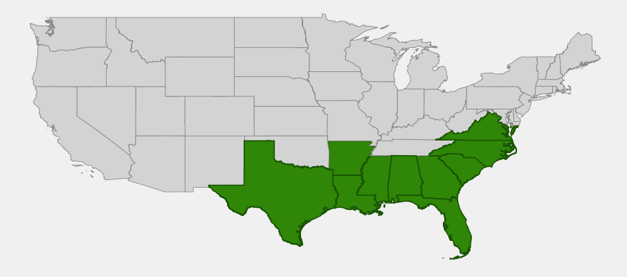 Native range map of Bigleaf Gallberry Holly (Ilex coriacea) showing distribution across southeastern US coastal plain