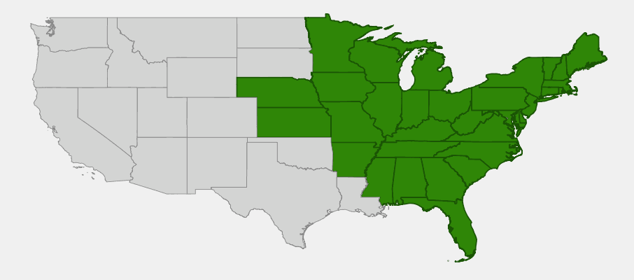 Native range map of Birdsfoot Violet (Viola pedata) showing distribution across eastern United States