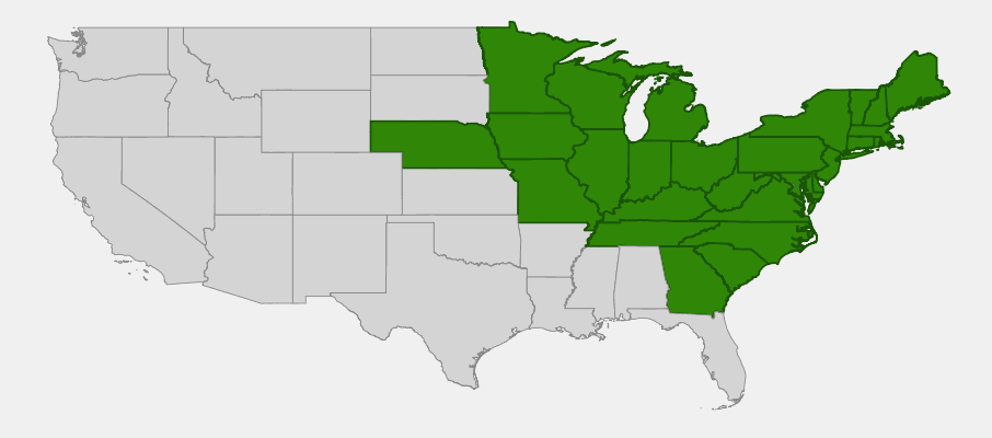 Native range map of Black Cherry (Prunus serotina) showing distribution across eastern United States