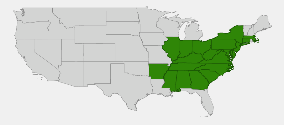 Native range map of Black Cohosh (Cimicifuga racemosa) showing distribution across eastern United States