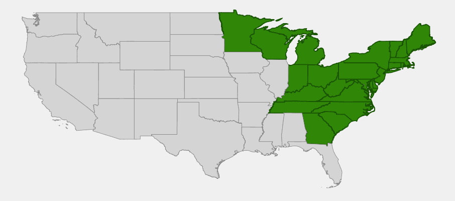 Native range map of Black Huckleberry (Gaylussacia baccata) showing eastern North American distribution