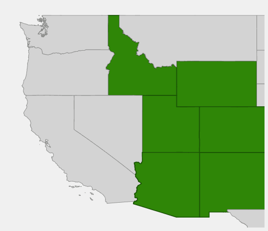 Native range map of Blue Spruce (Picea pungens) in the Rocky Mountains