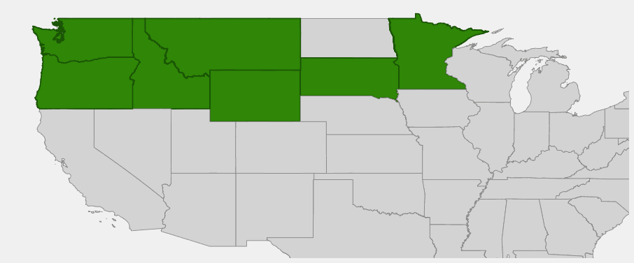 Native range map of Bluebells (Mertensia paniculata) showing distribution across Alaska and northern states