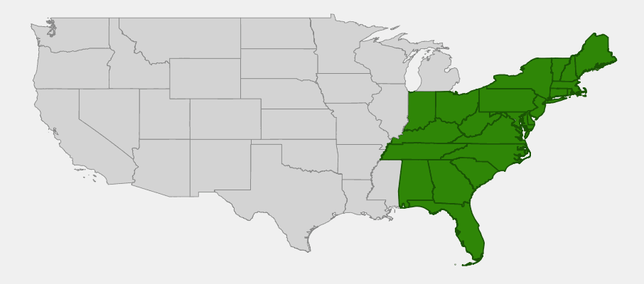 Native range map of Bluets (Houstonia caerulea) showing distribution across eastern United States