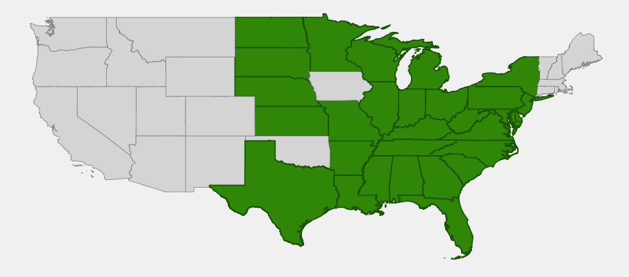 Native range map of Boltonia (Boltonia asteroides) showing distribution across eastern and central North America