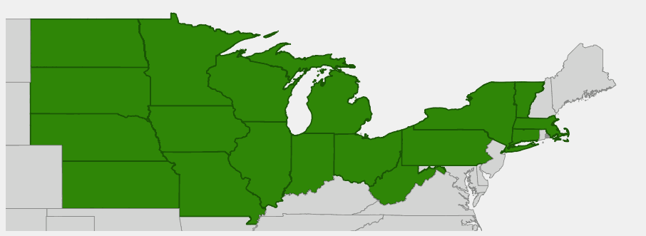 Native range map of Bottle Gentian (Gentiana andrewsii)