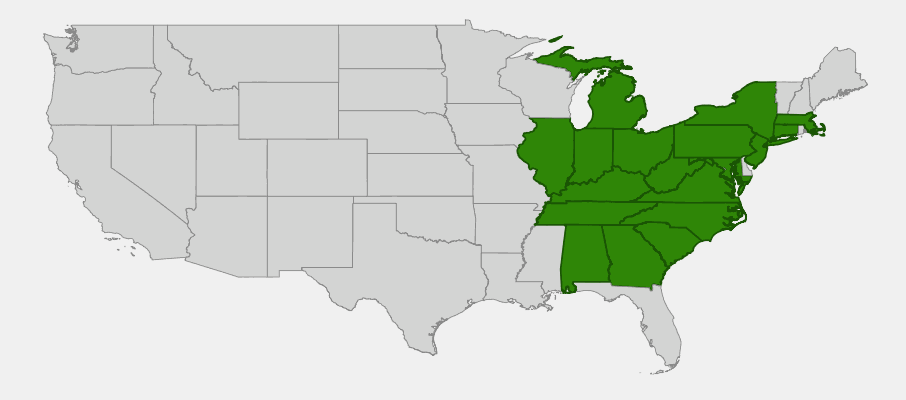 Native range map of Bowman's Root (Porteranthus trifoliatus) showing Appalachian distribution
