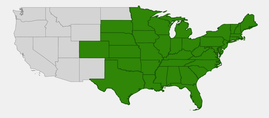 Native range map of Brown-eyed Susan (Rudbeckia triloba) showing distribution across eastern and central United States