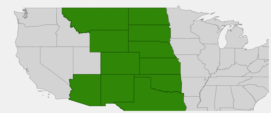 Native range map of Buffalograss (Bouteloua dactyloides) across the Great Plains states