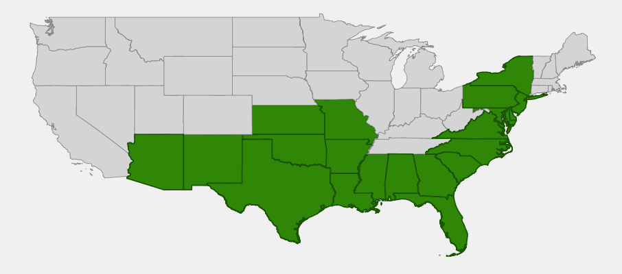 Native range map of Camphorweed (Heterotheca subaxillaris)