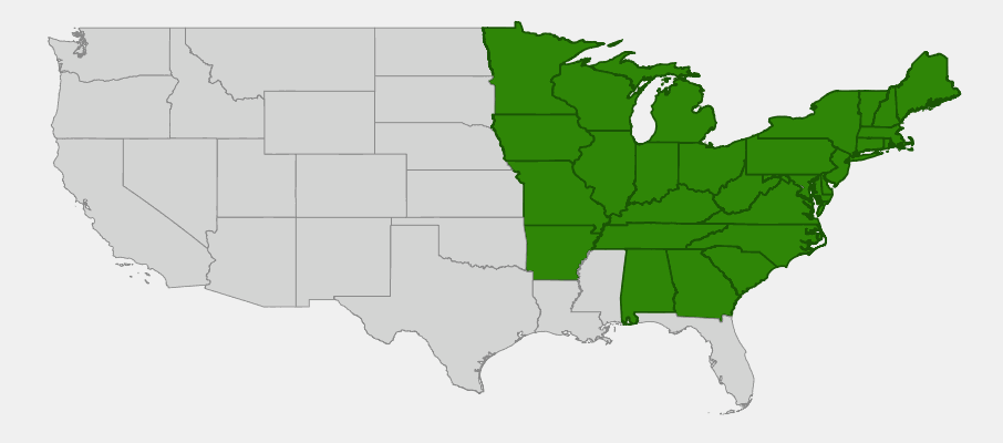 Native range map of Canada Lily (Lilium canadensis) showing eastern US distribution