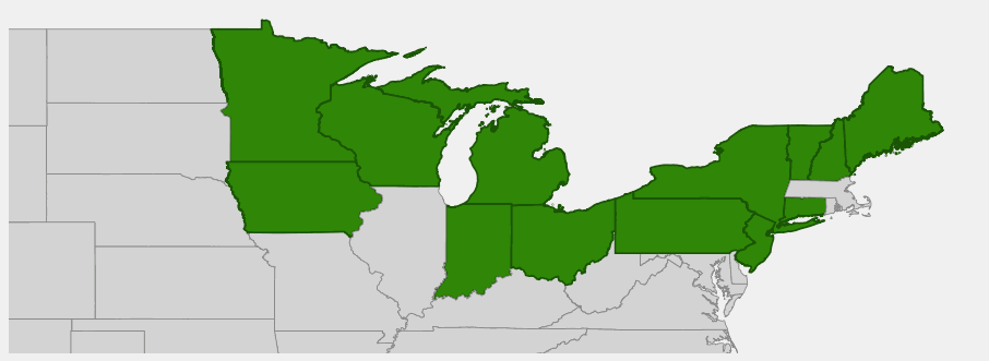 Native range map of Canadian Yew (Taxus canadensis)