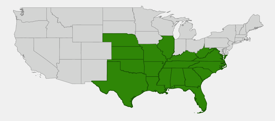 Native range map of Carolina Buckthorn (Rhamnus caroliniana) across eastern and south-central United States