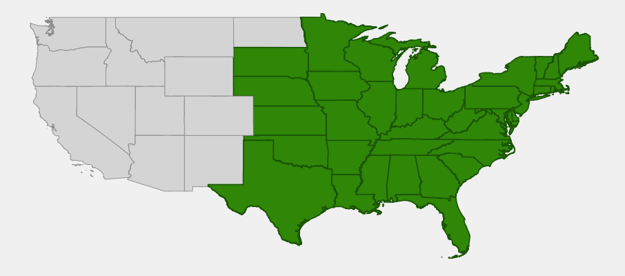 Native range map of New Jersey Tea (Ceanothus americanus) showing distribution across eastern and central North America