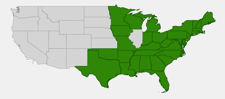 Native range map of Cinnamon Fern (Osmundastrum cinnamomeum) showing distribution across eastern North America