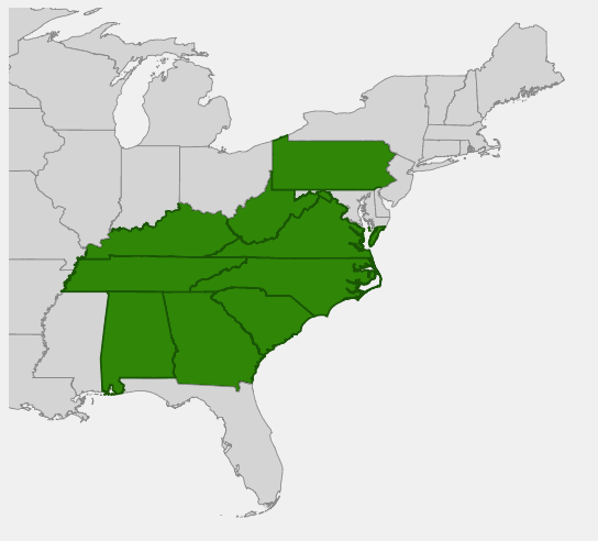 Native range map of Cinnamonbark (Clethra acuminata)