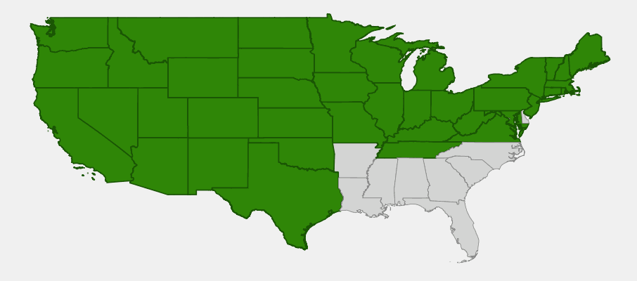 Native range map of Redosier Dogwood (Cornus sericea) across North America