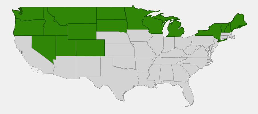Native range map of Creeping Juniper (Juniperus horizontalis) showing distribution across northern United States and Canada