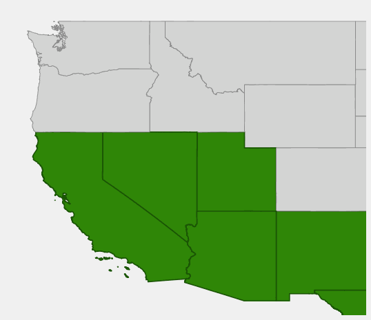 Native range map of Creosote Bush (Larrea tridentata) showing distribution across Arizona, New Mexico, Texas, California, Nevada, and Utah