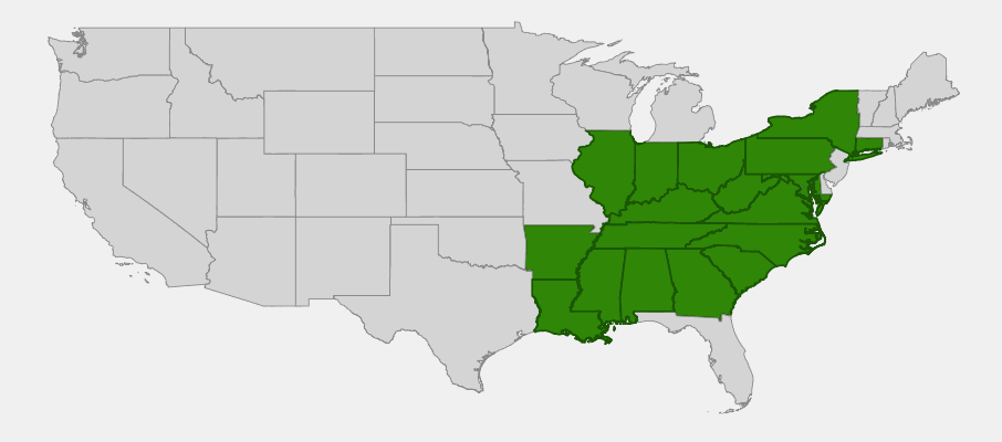 Native range map of Cucumber Tree (Magnolia acuminata)