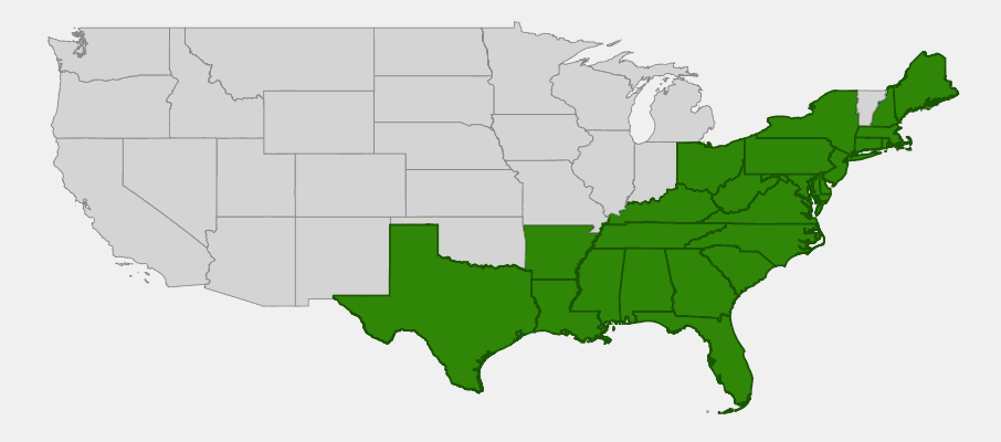 Native range map of Dangleberry (Gaylussacia frondosa) showing distribution along eastern US coastal plain
