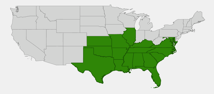 Native range map of Deciduous Holly (Ilex decidua) showing distribution across southeastern and south-central United States