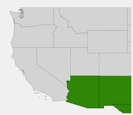 Native range map of Desert Spoon (Dasylirion wheeleri) showing distribution across Arizona, New Mexico, and Texas