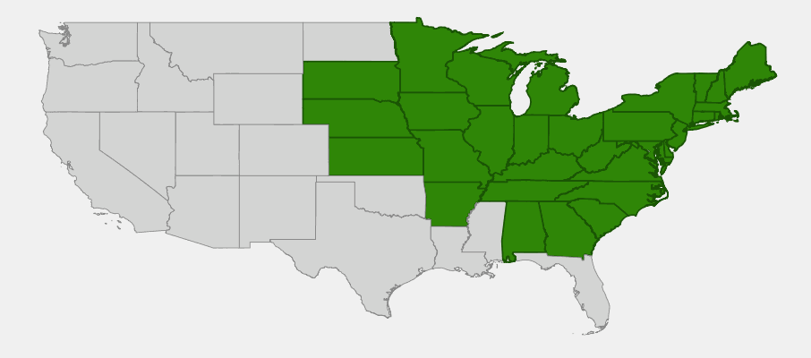 Native range map of Downy Yellow Violet (Viola pubescens) showing eastern US distribution