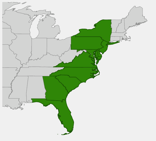 Native range map of Dwarf Azalea (Rhododendron atlanticum) showing Atlantic coastal plain distribution