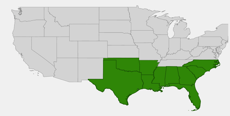 Native range map of Dwarf Palmetto (Sabal minor)