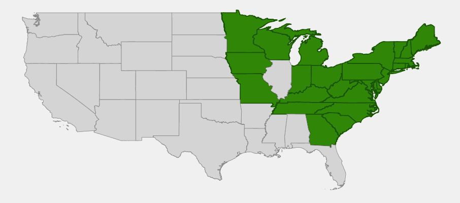 Native range map of Evergreen Wood Fern (Dryopteris intermedia) showing eastern North American distribution