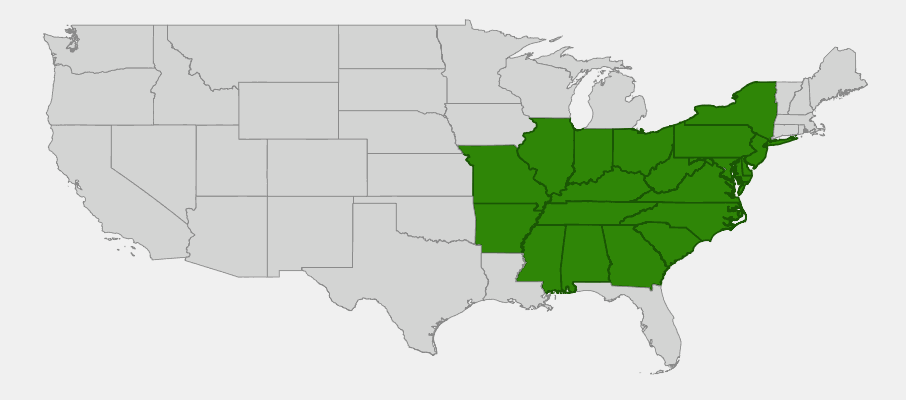 Native range map of False Indigo (Baptisia australis) showing distribution across eastern North America