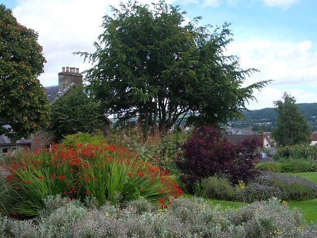 5 Best Perennial Flowers To Grow In Missouri