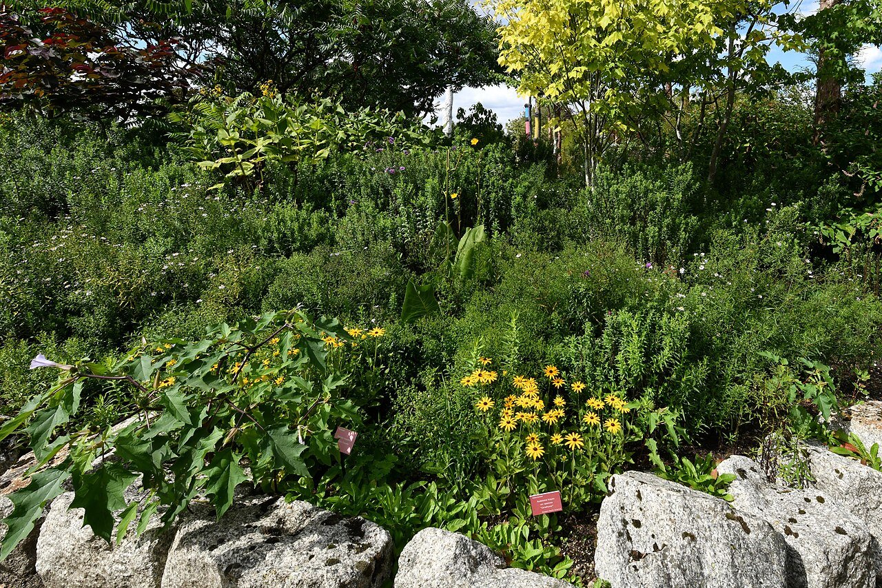 6 Common Problems with HP Vanguard EFI and Easy Solutions