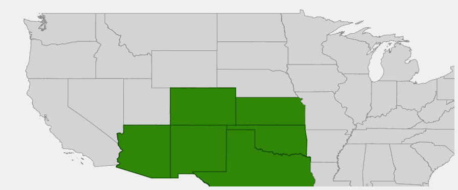 Native range map of Feather Dalea (Dalea formosa) showing distribution in Arizona, New Mexico, Texas, Colorado, Oklahoma, and Kansas