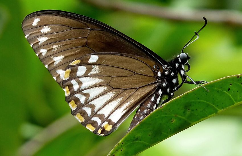 5 Most Common Problems with John Deere 3320