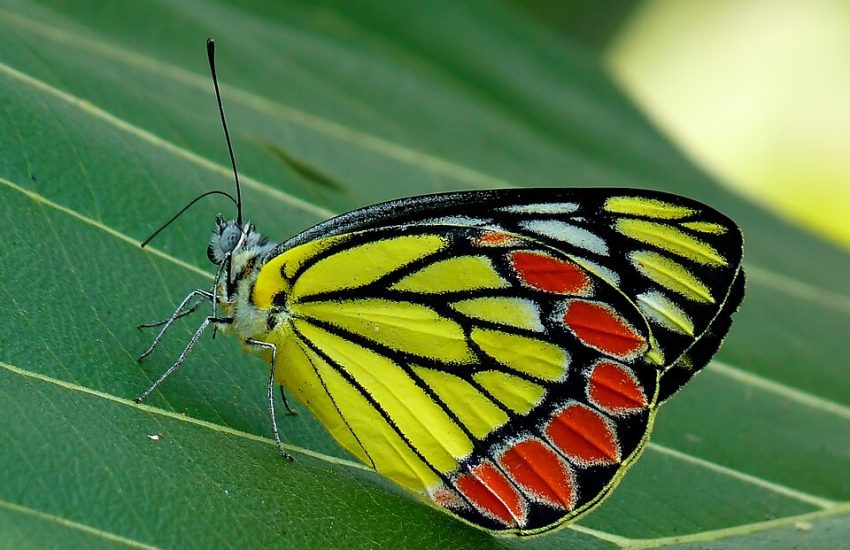 5 Most Common Problems with John Deere 4044R