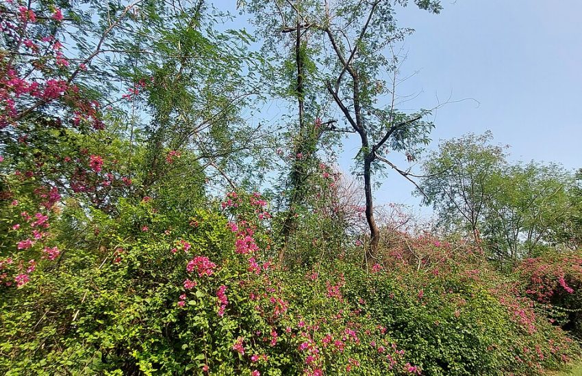 5 Most Common Problems with John Deere 757 and Solutions