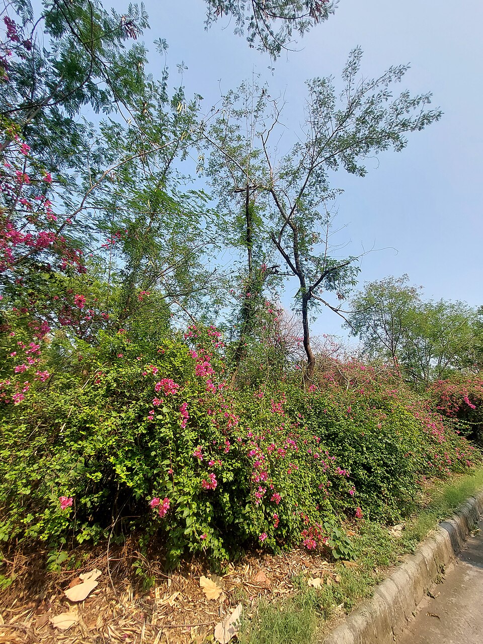 5 Most Common Problems with John Deere 757 and Solutions