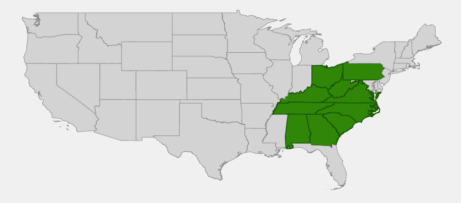 Native range map of Flame Azalea (Rhododendron calendulaceum) showing distribution in the Appalachian Mountains