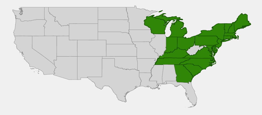 Native range map of Fox Grape (Vitis labrusca) across eastern United States