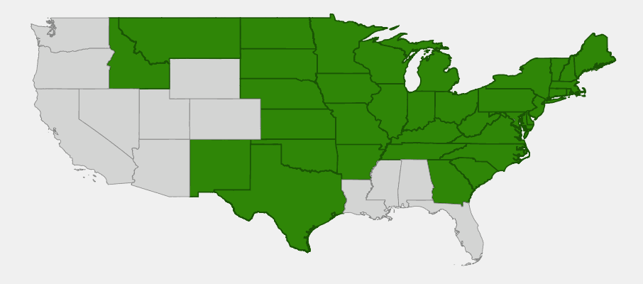 Native range map of Grass-leaved Goldenrod (Euthamia graminifolia)