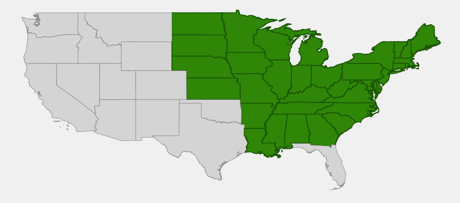 Native range map of Gray Dogwood (Cornus racemosa) showing extensive distribution across eastern North America