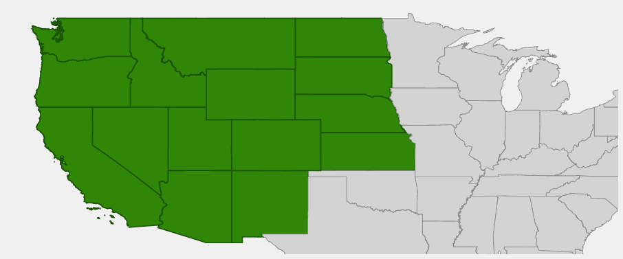 Native range map of Great Basin Wildrye (Leymus cinereus) showing distribution across the western United States