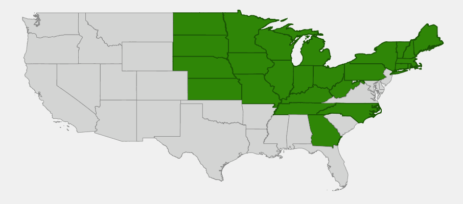 Native range map of Great St. John's Wort (Hypericum pyramidatum) showing distribution across northern and central United States