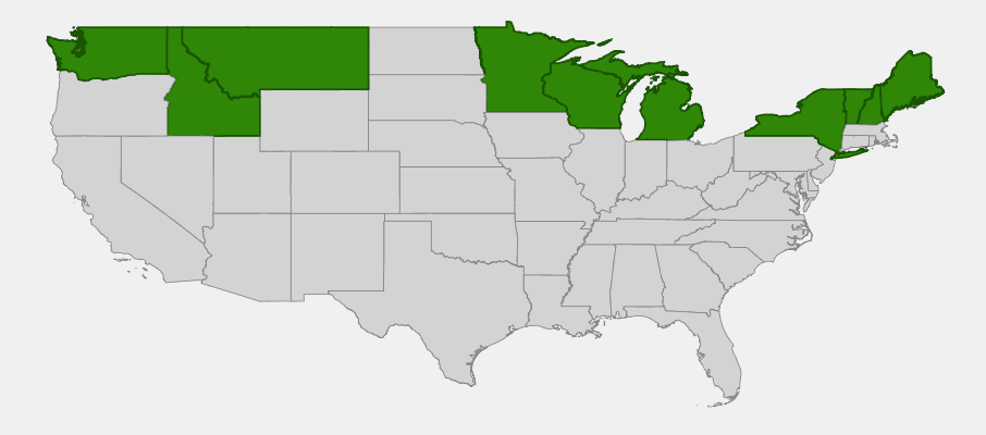 Native range map of Green Alder (Alnus crispa) showing distribution across Alaska and northern United States