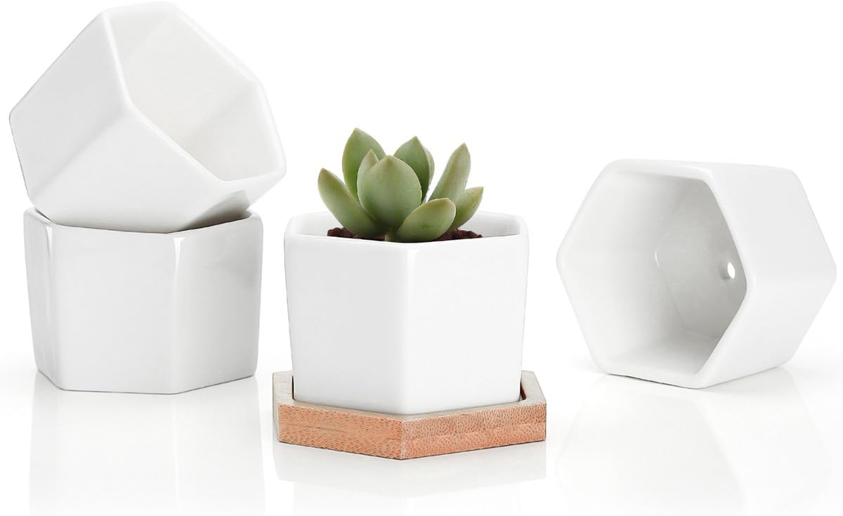 Greenaholics Small Succulent Plant Pots Set of 4