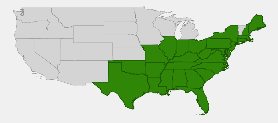 Native range map of Glaucous-leaf Greenbriar (Smilax glauca) showing eastern US distribution