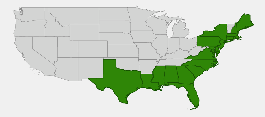 Native range map of Groundsel Tree (Baccharis halimifolia) showing coastal US distribution